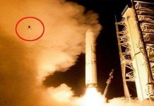 Ếch "bay" cùng tàu vũ trụ của NASA