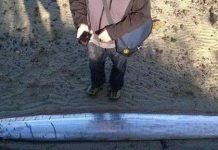 Phát hiện “quái vật biển” ở New Zealand Phát hiện "quái vật biển" ở New Zealand