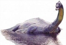 Nóng: Bí ẩn quái vật hồ Loch Ness có lời giải