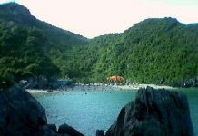 Biến đổi khí hậu thay đổi diện mạo khu sinh quyển Cát Bà Biến đổi khí hậu thay đổi diện mạo khu sinh quyển Cát Bà