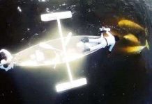 Cá voi trắng hát cùng các nghệ sĩ Canada