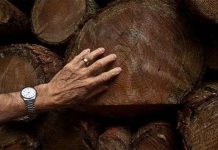 Nghi lễ "giải hạn" thực sự có hiệu quả?