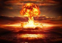 Vũ khí nhỏ như côn trùng có thể làm nhân loại tuyệt diệt