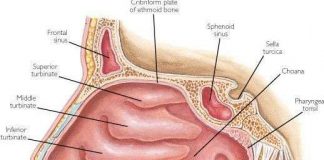Lý giải vì sao nhiều người thích ăn... rỉ mũi?