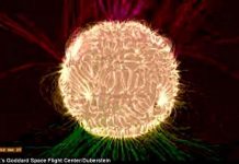 NASA mô phỏng từ trường vô hình trên Mặt Trời