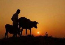 Khí hậu ấm lên làm tăng các bệnh nhiễm khuẩn Khí hậu ấm lên làm tăng các bệnh nhiễm khuẩn