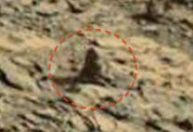 Phát hiện hình ảnh con khỉ ngồi trên sao Hỏa?