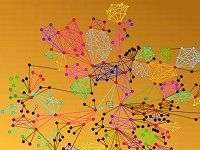 Kiểm tra sự bền vững của tình bạn