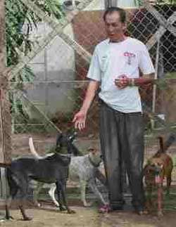 Chó Phú Quốc: Huyền thoại và sự thật