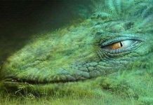 Phát hiện quái vật khổng lồ dưới đáy Bắc Cực