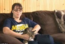 Phẫu thuật chuyển giới cho mèo Phẫu thuật chuyển giới cho mèo