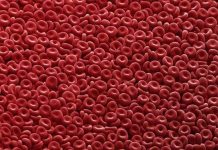 Phát minh “siêu máu” miễn dịch với điôxin