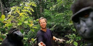 Bí kíp “đọc suy nghĩ” của người khác được FBI và CIA sử dụng