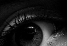 Tại sao chỉ con người và voi biết khóc?