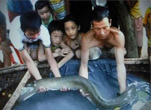 Những động vật khổng lồ ở Việt Nam