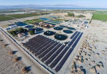 Công nghệ nuôi cá trên sa mạc đạt năng suất cao của Israel Công nghệ nuôi cá trên sa mạc đạt năng suất cao của Israel