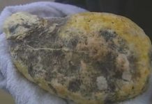 Ngư dân Oman tìm thấy long diên hương 80kg giá 3 triệu USD Ngư dân Oman tìm thấy long diên hương 80kg giá 3 triệu USD