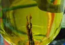 Tái tạo các điều kiện được cho là làm phát sinh sự sống trên trái đất