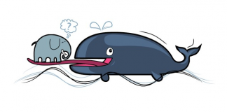 Lưỡi cá voi xanh còn nặng hơn cả một con voi