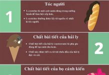 Lông chuột, hắc ín trong những thực phẩm hàng ngày