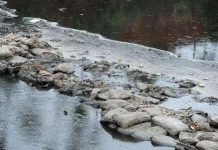 Trung Quốc ưu tiên xử lí chất thải độc hại