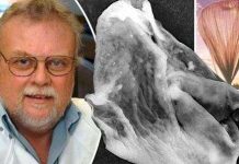 Nhà khoa học Anh tuyên bố phát hiện sinh vật ngoài hành tinh