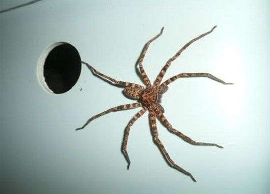 Thử “cân não” với các thí nghiệm tâm lý thú vị