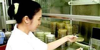 30 năm vì một nền nông nghiệp bền vững