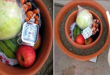 "Tủ lạnh" không cần cắm điện vẫn giữ thực phẩm tươi ngon gấp 9 lần bình thường