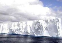 Tảng băng trôi, không chỉ có hại? Tảng băng trôi, không chỉ có hại?