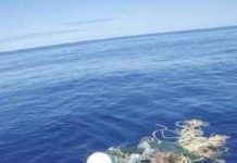 Băng rác khổng lồ Thái Bình Dương