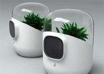 Làm sạch khí trong nhà bằng bộ lọc từ cây
