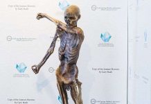 Kinh ngạc công nghệ phục dựng xác ướp Người băng 5000 tuổi