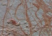 Phát hiện chấn động của NASA: Có sự sống trên vệ tinh của sao Mộc Phát hiện chấn động của NASA: Có sự sống trên vệ tinh của sao Mộc