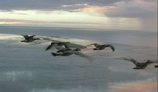 8 hậu quả chưa biết của biến đổi khí hậu