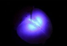 Đèn LED siêu nhỏ mới có khả năng tiêm vào não bộ