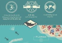 Cá heo thông minh đến mức nào?