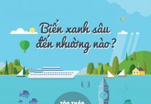 Các loài động vật nhỏ giúp cân bằng sinh thái tại biển Caribean Độ sâu khó tin của biển xanh và những sự thật chẳng ai ngờ đến dưới đáy đại dương