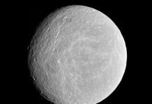 Những phát minh khoa học lý thú năm 2010