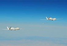 Mỹ chế tạo “UAV động vật”, có khả năng “ăn cắp điện”