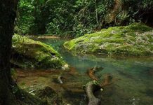 Bên trong hang tế thần của người Maya