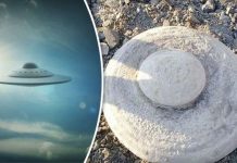 UFO được tìm thấy ở Nga còn chứa "thi thể của người ngoài hành tinh"?