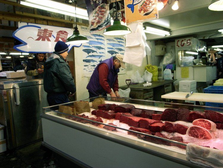 Vì sao người Nhật Bản cứ đi đánh bắt cá voi về ăn?