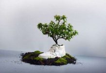 Giày phân hủy sinh học