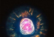 Cái chết huy hoàng của một ngôi sao