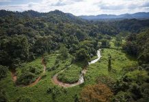 Thành phố thất lạc 500 năm chứa ký sinh trùng ăn mặt người