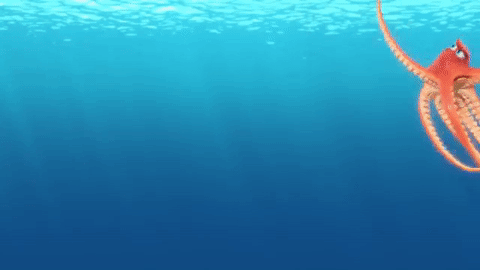 Nguyên mẫu đời thật “cực xịn” của bạch tuộc Hank trong bom tấn Finding Dory