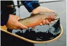 Bảo tồn… nhầm Bảo tồn... nhầm