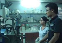 Sản xuất túi ni lông tự hủy từ bột mì Sản xuất túi ni lông tự hủy từ bột mì