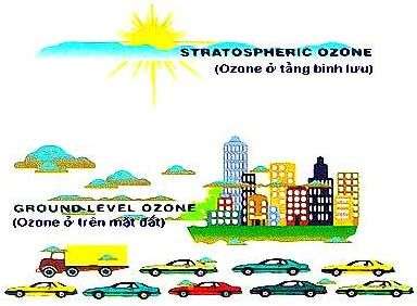 Ozone vừa hại phổi vừa làm suy yếu miễn dịch